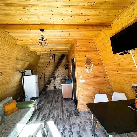 Lodge A-frame Refugiu Montan *